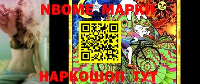 стафф Донской