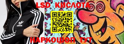 стафф Донской