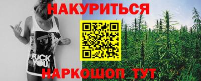стафф Донской