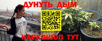 стафф Донской