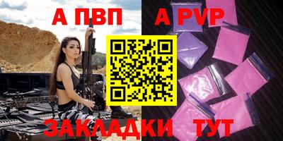 стафф Донской