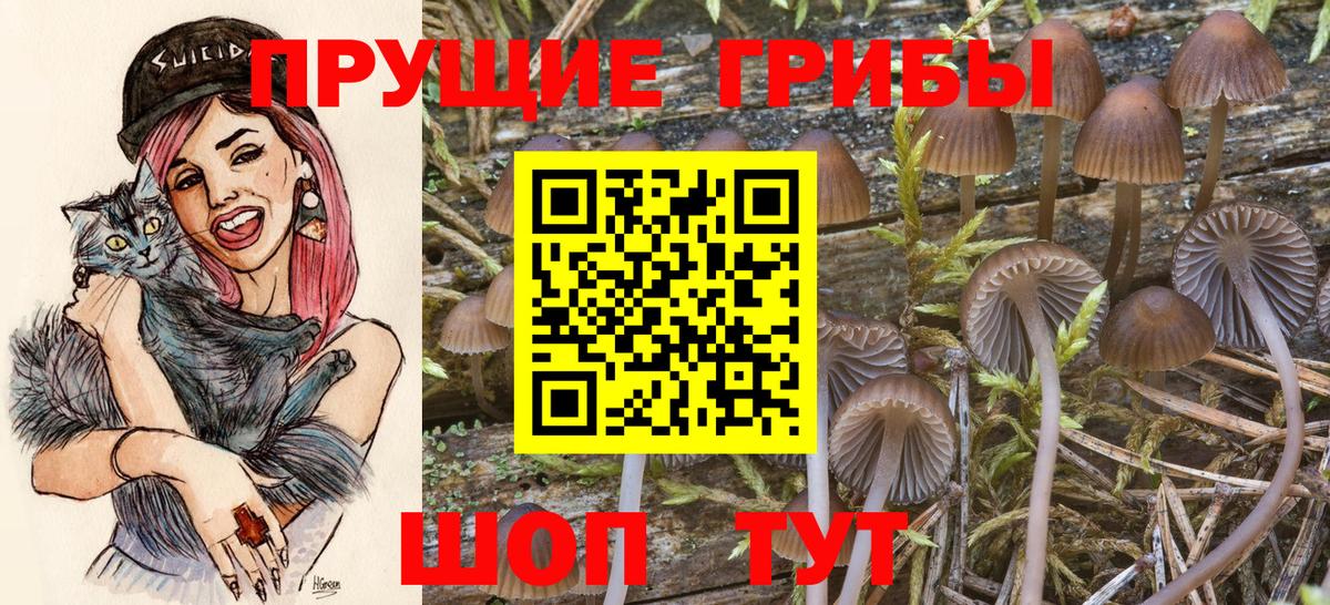 Псилоцибиновые грибы прущие грибы  Галлюциногенные грибы мухоморы  Вход с VPN  Миллерово 